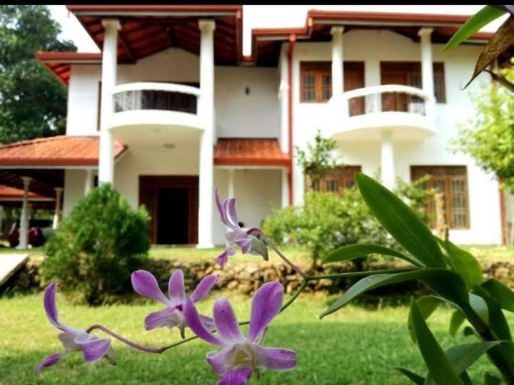 Blue Point Rest Hotel Tangalle Exterior photo