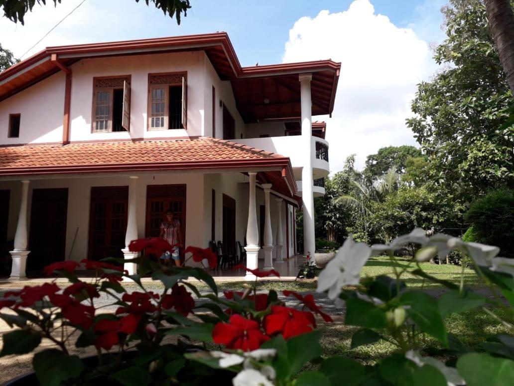 Blue Point Rest Hotel Tangalle Exterior photo