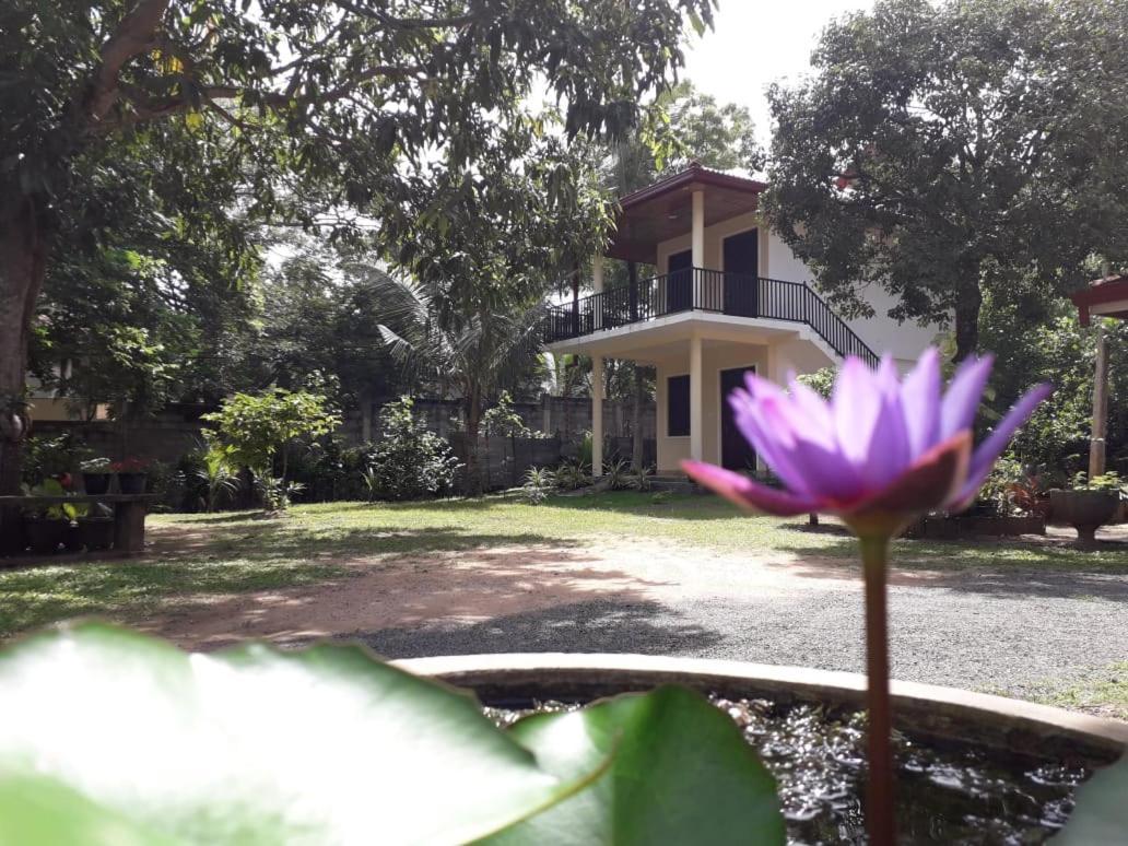 Blue Point Rest Hotel Tangalle Exterior photo
